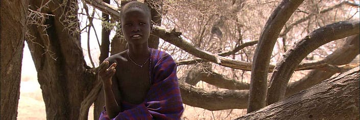 Bild-5-Hirtenjunge_400x1200 – Kopie