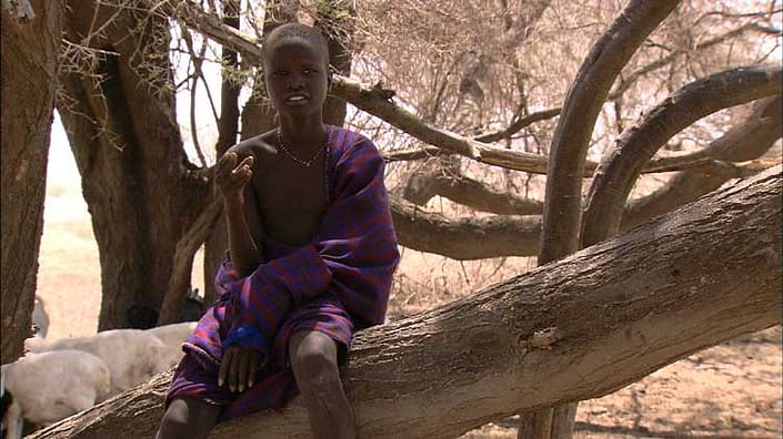 Bild-5-Hirtenjunge_751