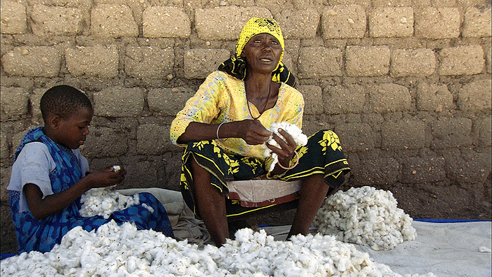 Bild 8 Mama Shishi Bio Baumwolle Kopie