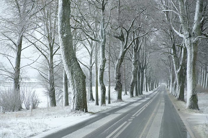 Strasse-Baeume-Frost