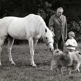 Clemens Freiher von Nagel m