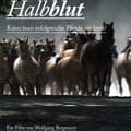 Edles-Halbblut-web-klein